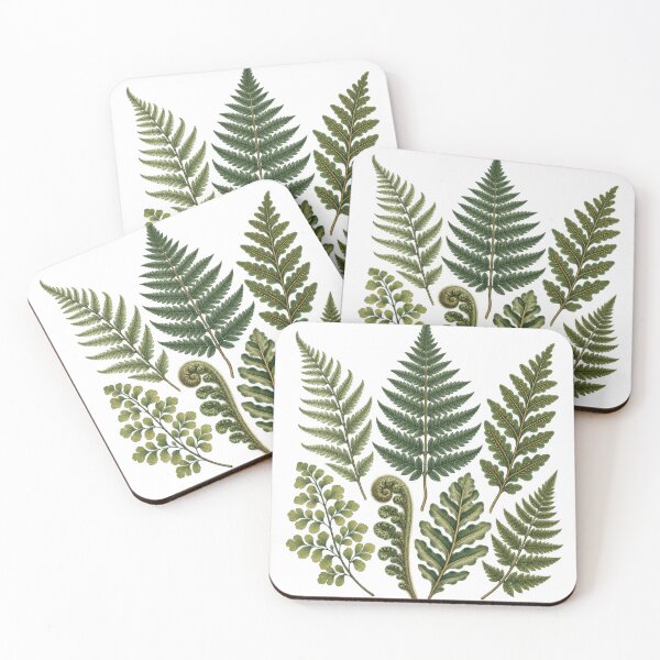 Item preview, Fern Identification Collection – Vintage Botanical Frond Study designed and sold by Georain.