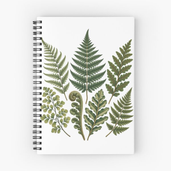 Item preview, Fern Identification Collection – Vintage Botanical Frond Study designed and sold by Georain.