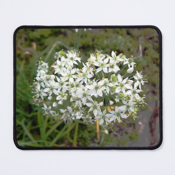 Item preview, Garlic Chive Flower designed and sold by gistinker.