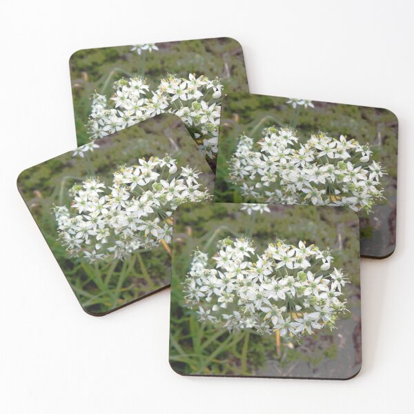 Item preview, Garlic Chive Flower designed and sold by gistinker.