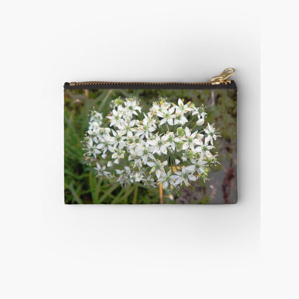 Item preview, Garlic Chive Flower designed and sold by gistinker.