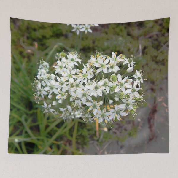 Item preview, Garlic Chive Flower designed and sold by gistinker.