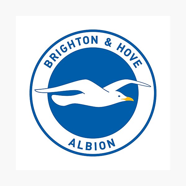 Item preview, Brighton and Hove Albion FC Seagull Crest Logo Design designed and sold by matildampugh.