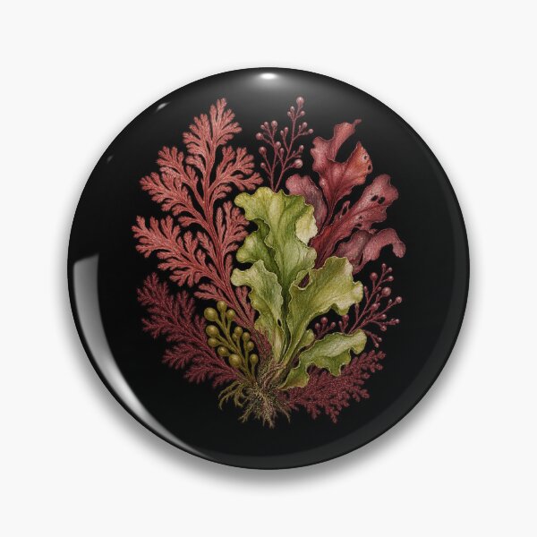 Item preview, Seaweed Herbarium Collection – Vintage Marine Botanical Art designed and sold by Georain.