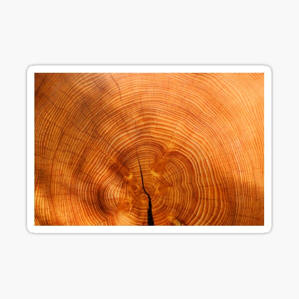 Item preview, Wood Grain designed and sold by AlaskaExtreme.
