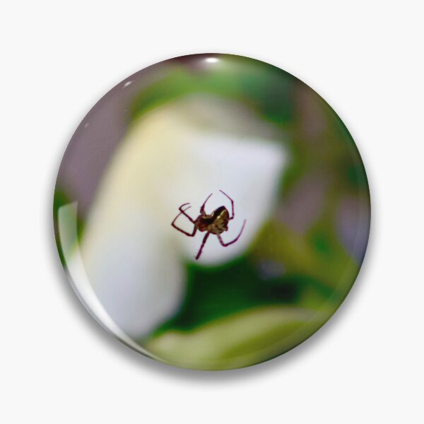 Item preview, Spider on a web designed and sold by brookelucy photos.