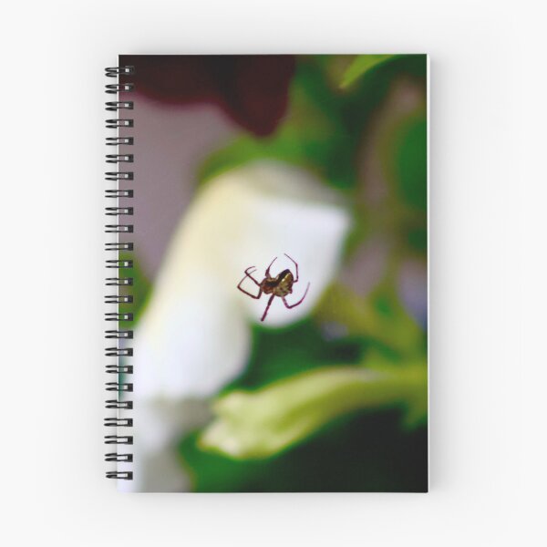 Item preview, Spider on a web designed and sold by brookelucy photos.
