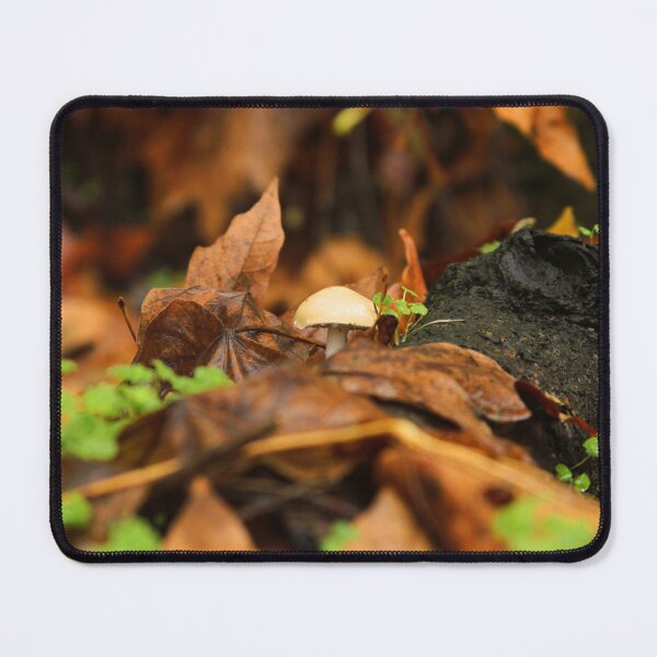 Item preview, Lone Mushroom at Spenser Butte designed and sold by Wildfeatherphotography.