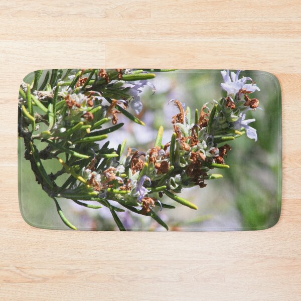 Artikelvorschau, Lone Lavender — Oregon entworfen und verkauft von Wildfeatherphotography.