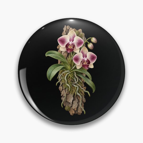 Item preview, Mounted Orchid Botanical – Epiphyte Roots on Cork Bark designed and sold by Georain.