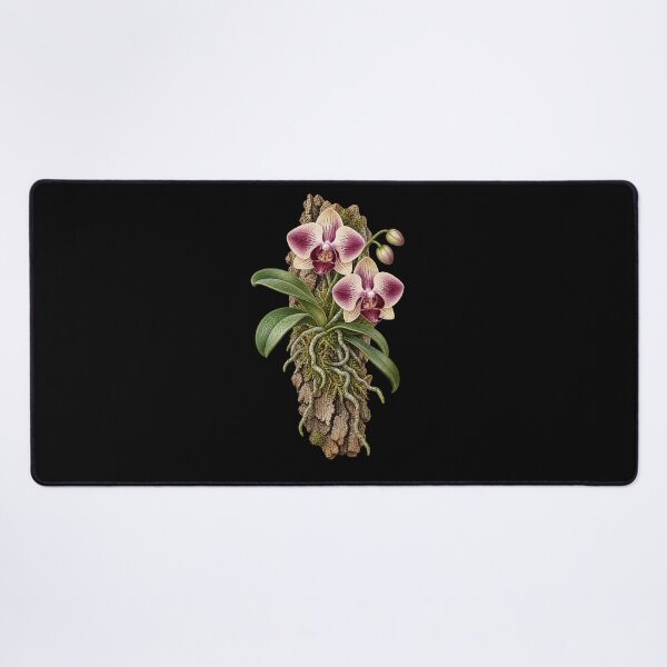 Item preview, Mounted Orchid Botanical – Epiphyte Roots on Cork Bark designed and sold by Georain.