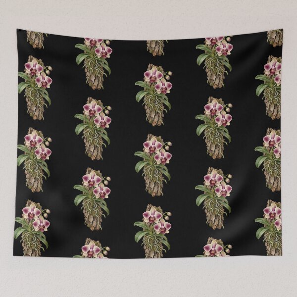 Item preview, Mounted Orchid Botanical – Epiphyte Roots on Cork Bark designed and sold by Georain.