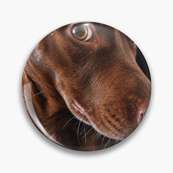 Item preview, Handsome Brown Dog – Realistic Pet Artwork designed and sold by Cute Pet Stuf.