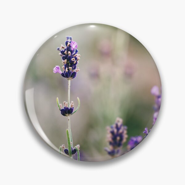 Item preview, Purple Lavender Field designed and sold by Rabee Khalil Photography.