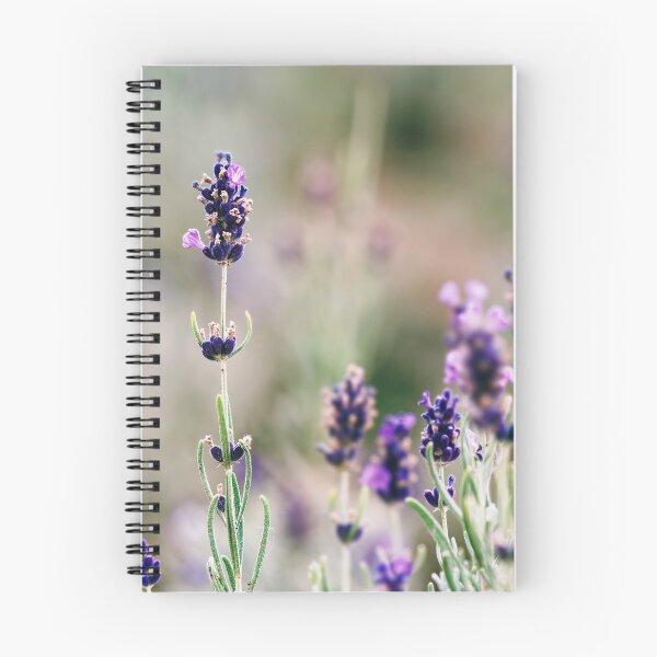 Item preview, Purple Lavender Field designed and sold by Rabee Khalil Photography.
