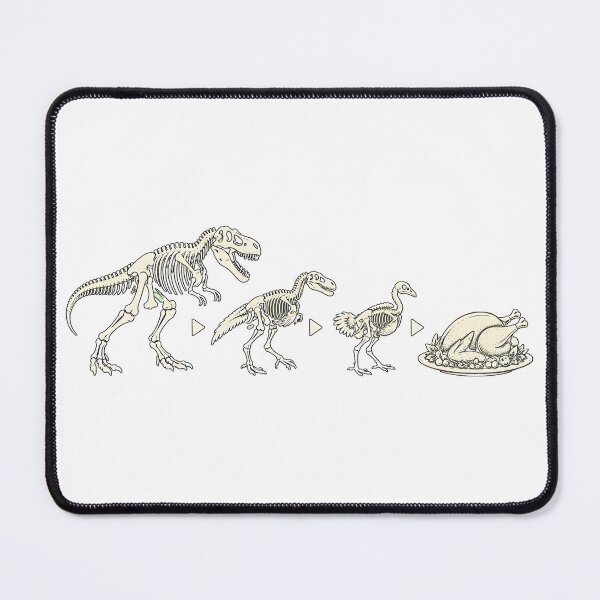 Item preview, Dinosaur Turkey Evolution Diagram Thanksgiving Science designed and sold by nortowelcomics.