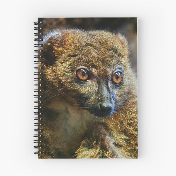 Item preview, Demure Lemur designed and sold by Eidetic Photos.
