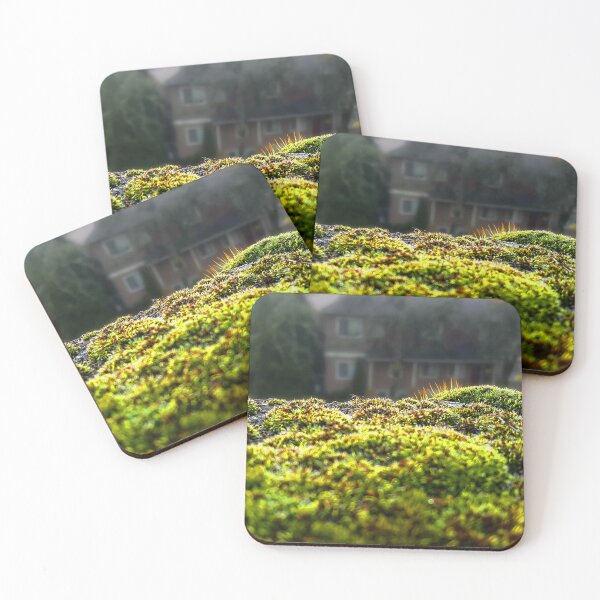 Item preview, Moss at University District Hospital designed and sold by Wildfeatherphotography.