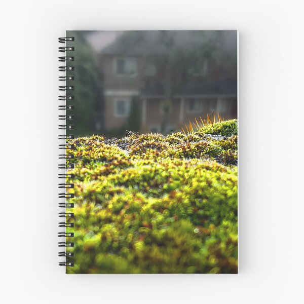 Item preview, Moss at University District Hospital designed and sold by Wildfeatherphotography.