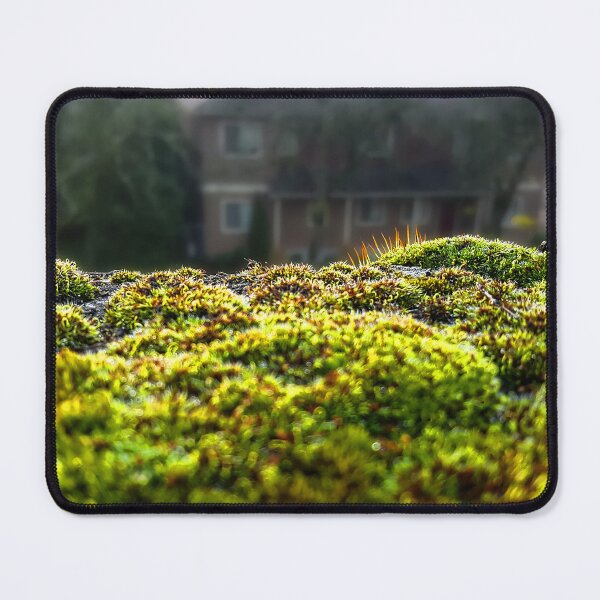Item preview, Moss at University District Hospital designed and sold by Wildfeatherphotography.