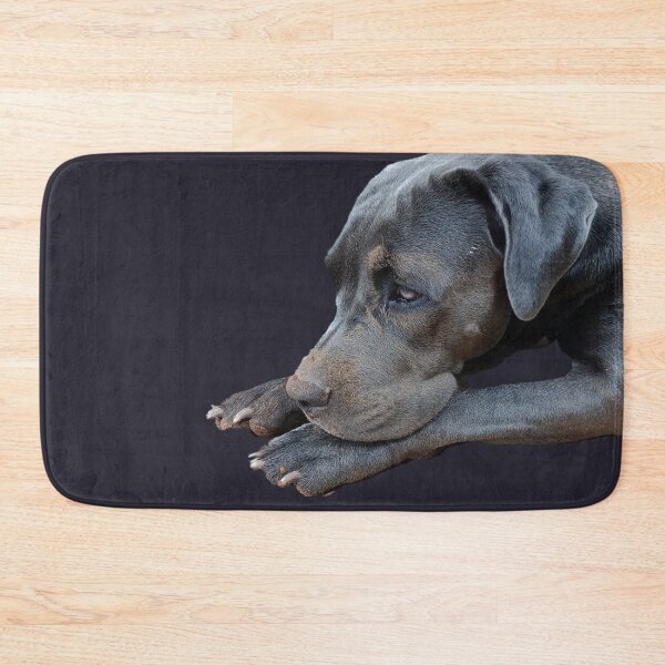 Item preview, Cane Corso Close-Up designed and sold by PicturePic.