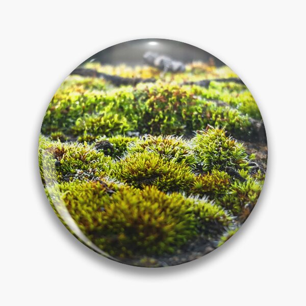 Item preview, Moss at University District Hospital  designed and sold by Wildfeatherphotography.