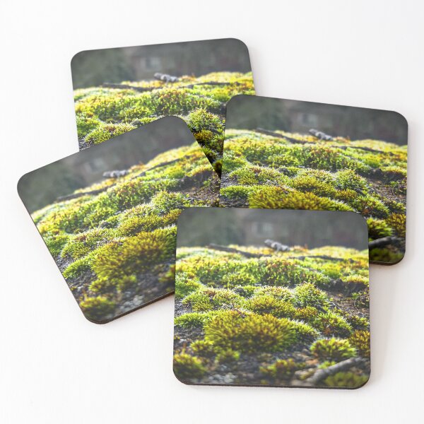Item preview, Moss at University District Hospital  designed and sold by Wildfeatherphotography.
