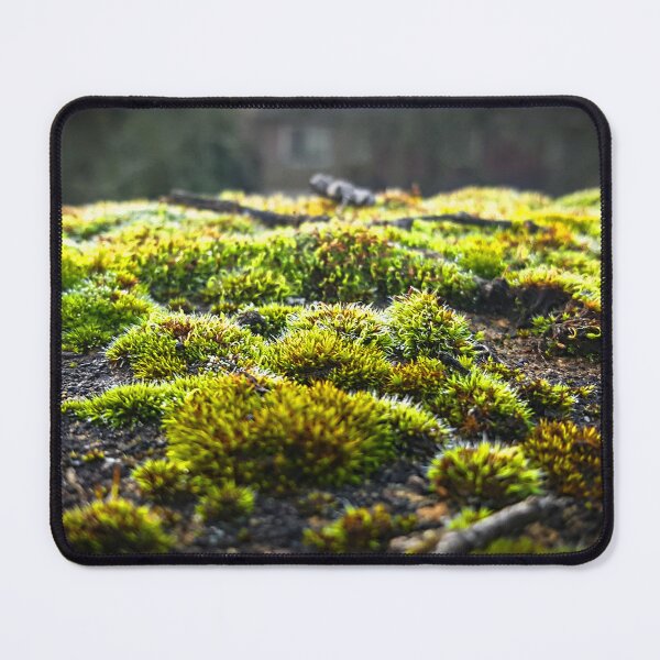 Item preview, Moss at University District Hospital designed and sold by Wildfeatherphotography.