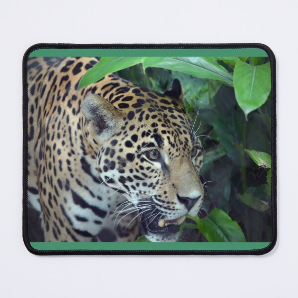 Item preview, Jaguar in Lush Greenery designed and sold by Savannah Gibbs.
