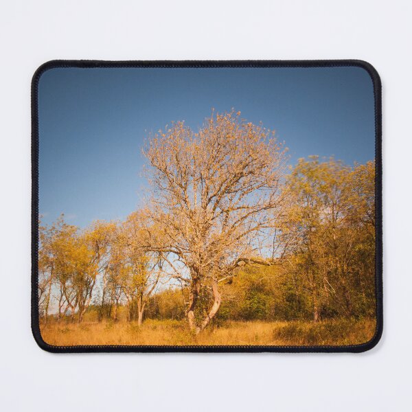 Item preview, Autumn Trees in a Golden Field designed and sold by jklune.