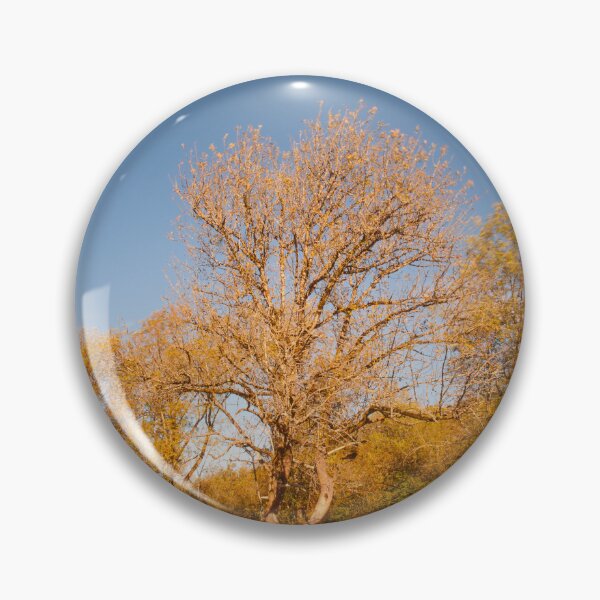 Artikelvorschau, Herbstbäume auf einem goldenen Feld entworfen und verkauft von jklune.
