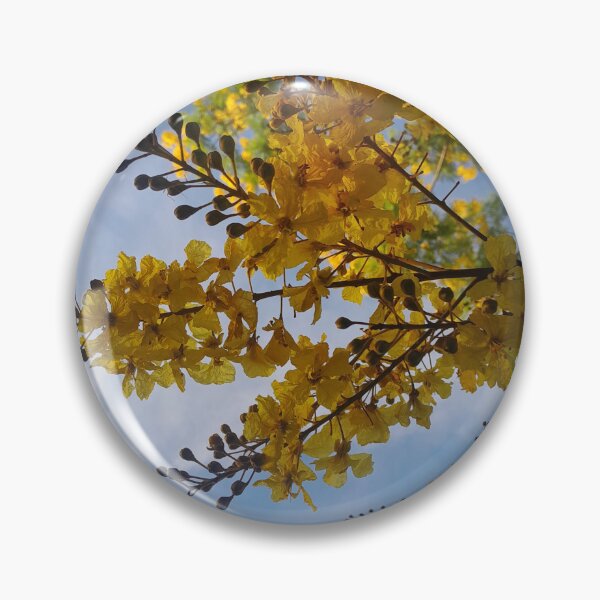 Item preview, Golden Yellow Tropical Blossom Tree under Blue Sky designed and sold by PicturePic.