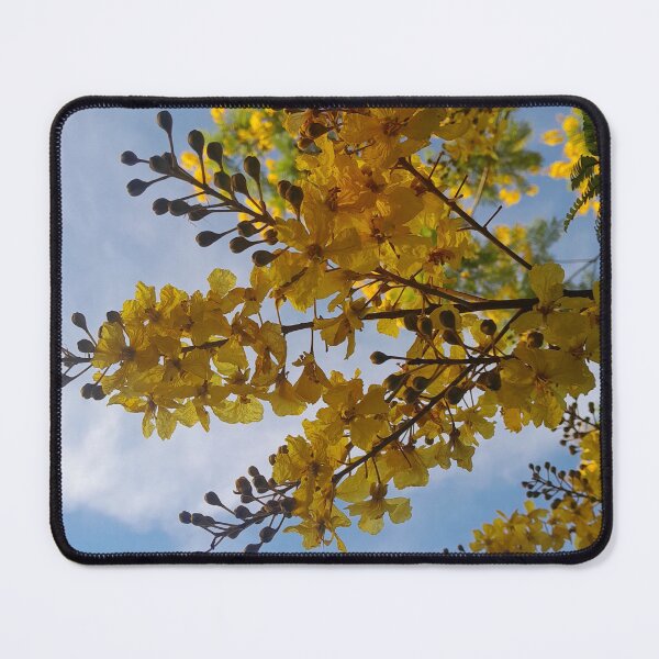 Item preview, Golden Yellow Tropical Blossom Tree under Blue Sky designed and sold by PicturePic.