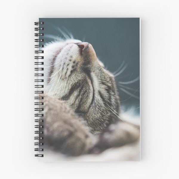 Item preview, Sleeping Kitten designed and sold by Lagom-Grafisk.