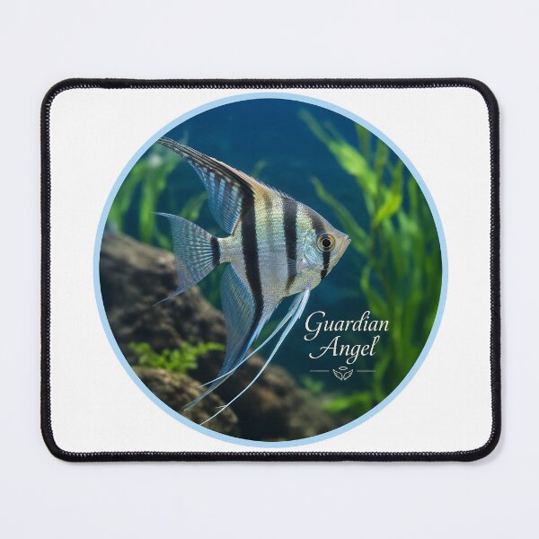 Item preview, Guardian Angel Freshwater Angelfish Graphic Design designed and sold by NotSoSubtleRosiePeas.
