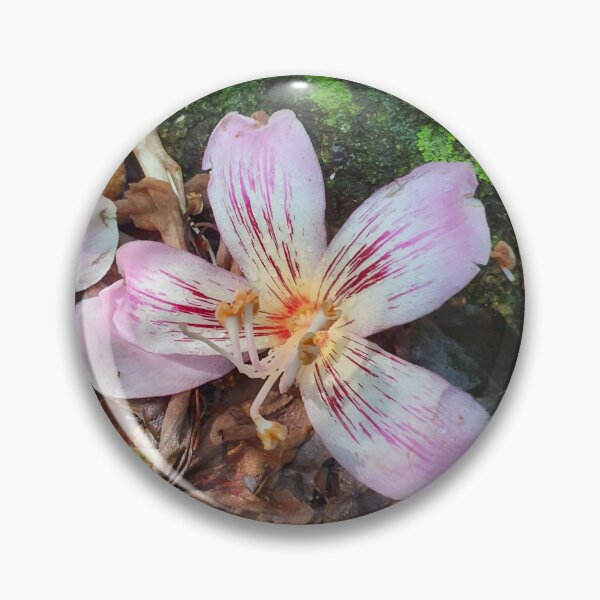 Item preview, Pink Silk Floss Flower on Forest Floor designed and sold by PicturePic.