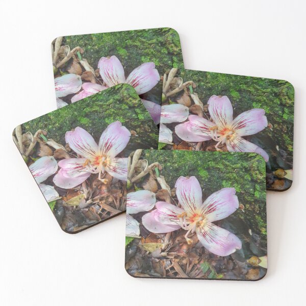 Item preview, Pink Silk Floss Flower on Forest Floor designed and sold by PicturePic.