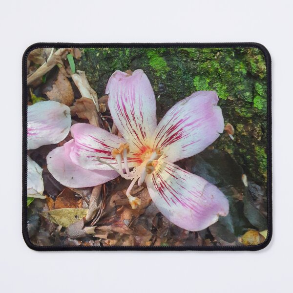 Item preview, Pink Silk Floss Flower on Forest Floor designed and sold by PicturePic.