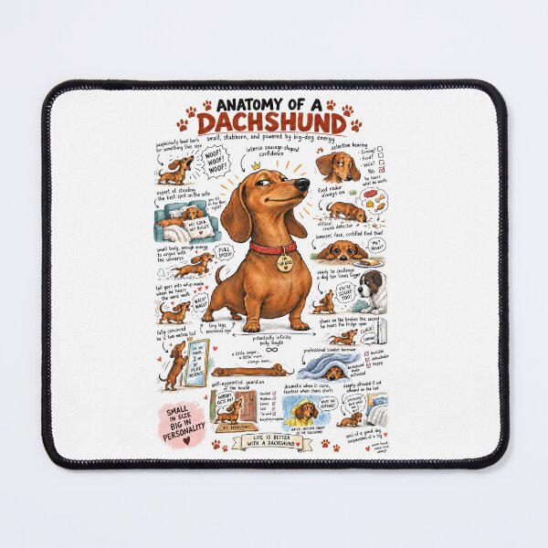 Item preview, Anatomy of a Dachshund Dog Humor Poster designed and sold by windmildesigner.