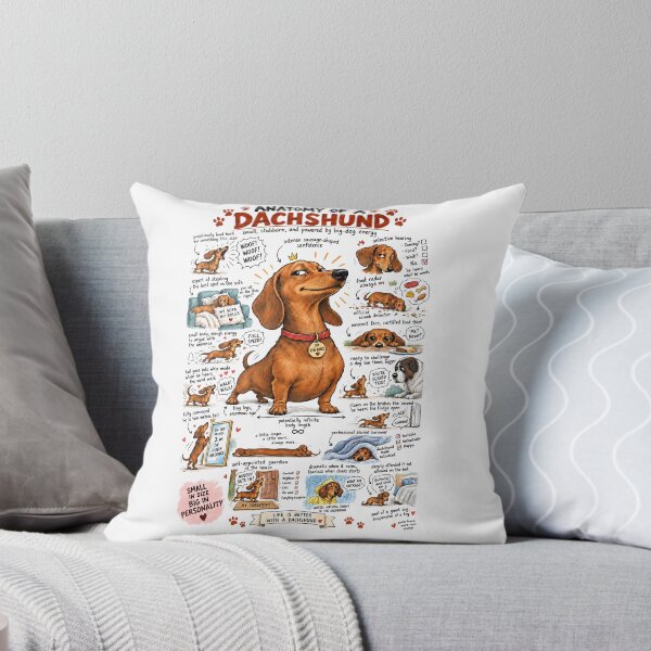 Item preview, Anatomy of a Dachshund Dog Humor Poster designed and sold by windmildesigner.