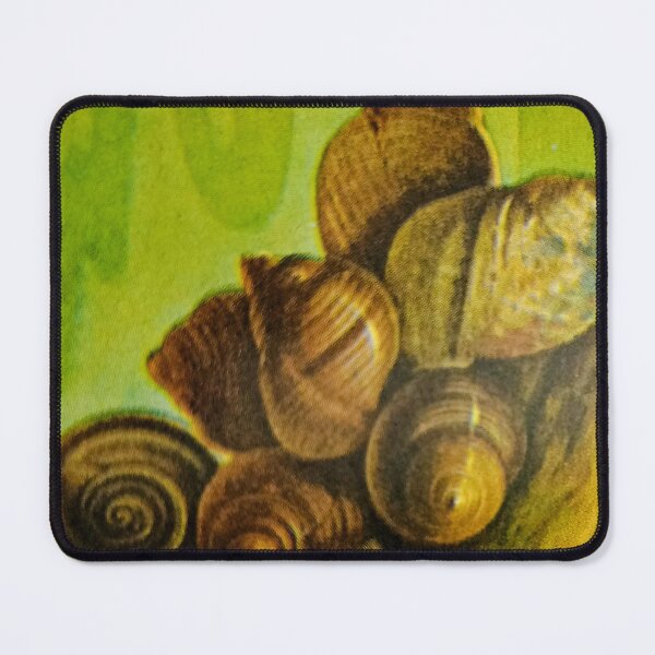 Item preview, The inspiration for Shell Macaroni.. designed and sold by Harold122Jade.