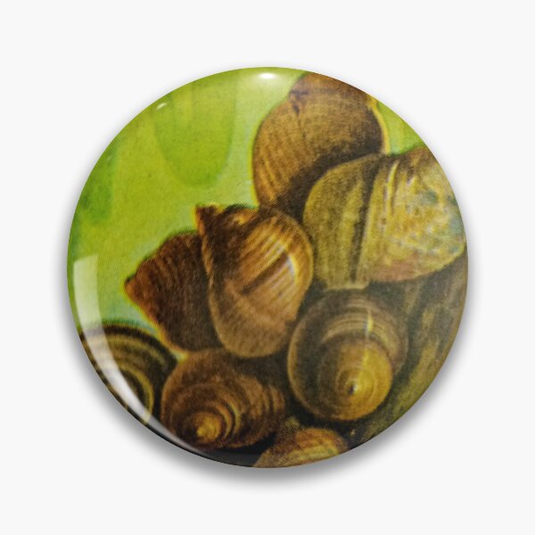 Artikelvorschau, Die Inspiration für Shell Macaroni.. entworfen und verkauft von Harold122Jade.