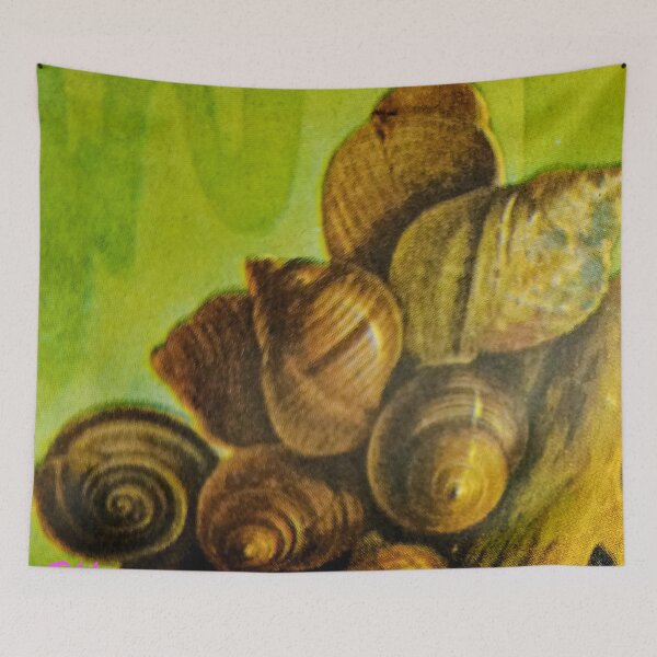 Item preview, The inspiration for Shell Macaroni.. designed and sold by Harold122Jade.