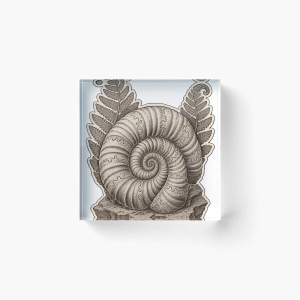 Item preview, Ammonite Specimen Die Cut Fossil Shell and Fern Impression | Geology Natural History Art designed and sold by StickyGuys.