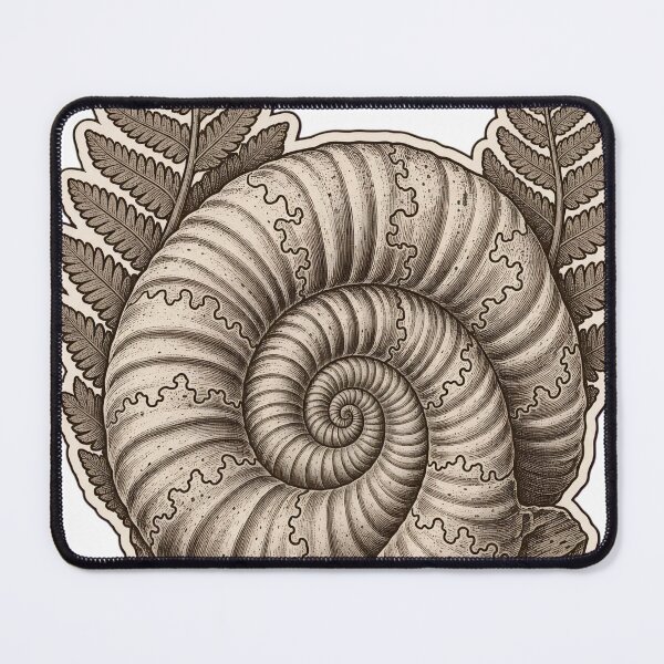 Item preview, Ammonite Specimen Die Cut Fossil Shell and Fern Impression | Geology Natural History Art designed and sold by StickyGuys.