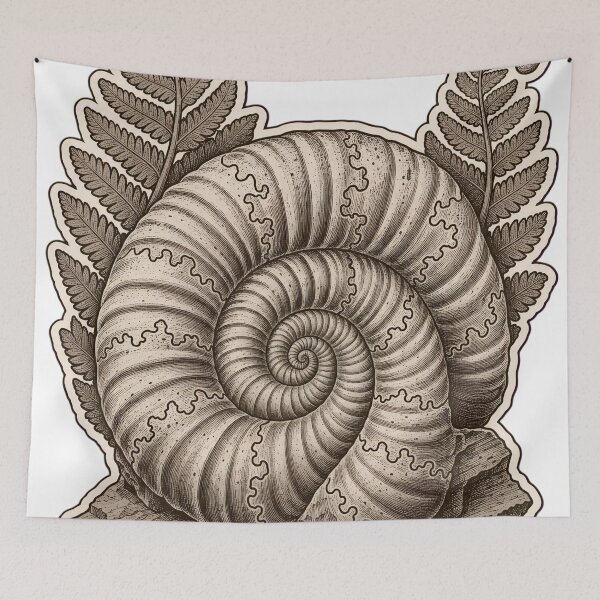 Item preview, Ammonite Specimen Die Cut Fossil Shell and Fern Impression | Geology Natural History Art designed and sold by StickyGuys.