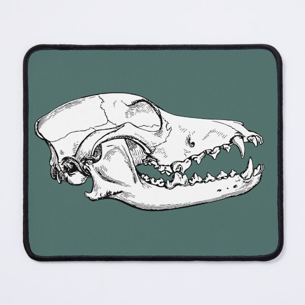 Item preview, Canine skull designed and sold by herracaligari.