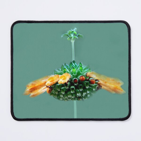 Item preview, What Am I? designed and sold by heatherfriedman.
