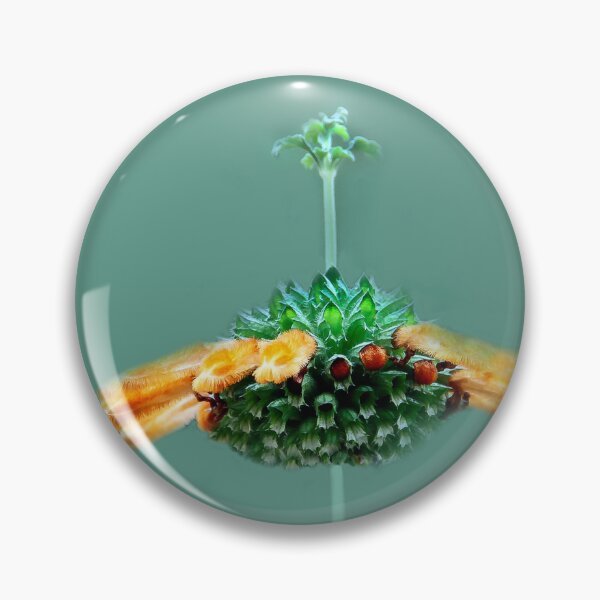 Item preview, What Am I? designed and sold by heatherfriedman.