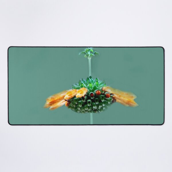 Item preview, What Am I? designed and sold by heatherfriedman.